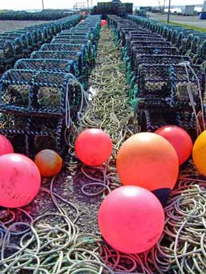 167
 Leverburgh Lobster Pots 